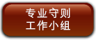 专业守则工作小组