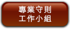 專業守則工作小組