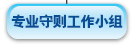 专 业 守 则 工 作 小 组